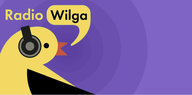 Radio Wilga