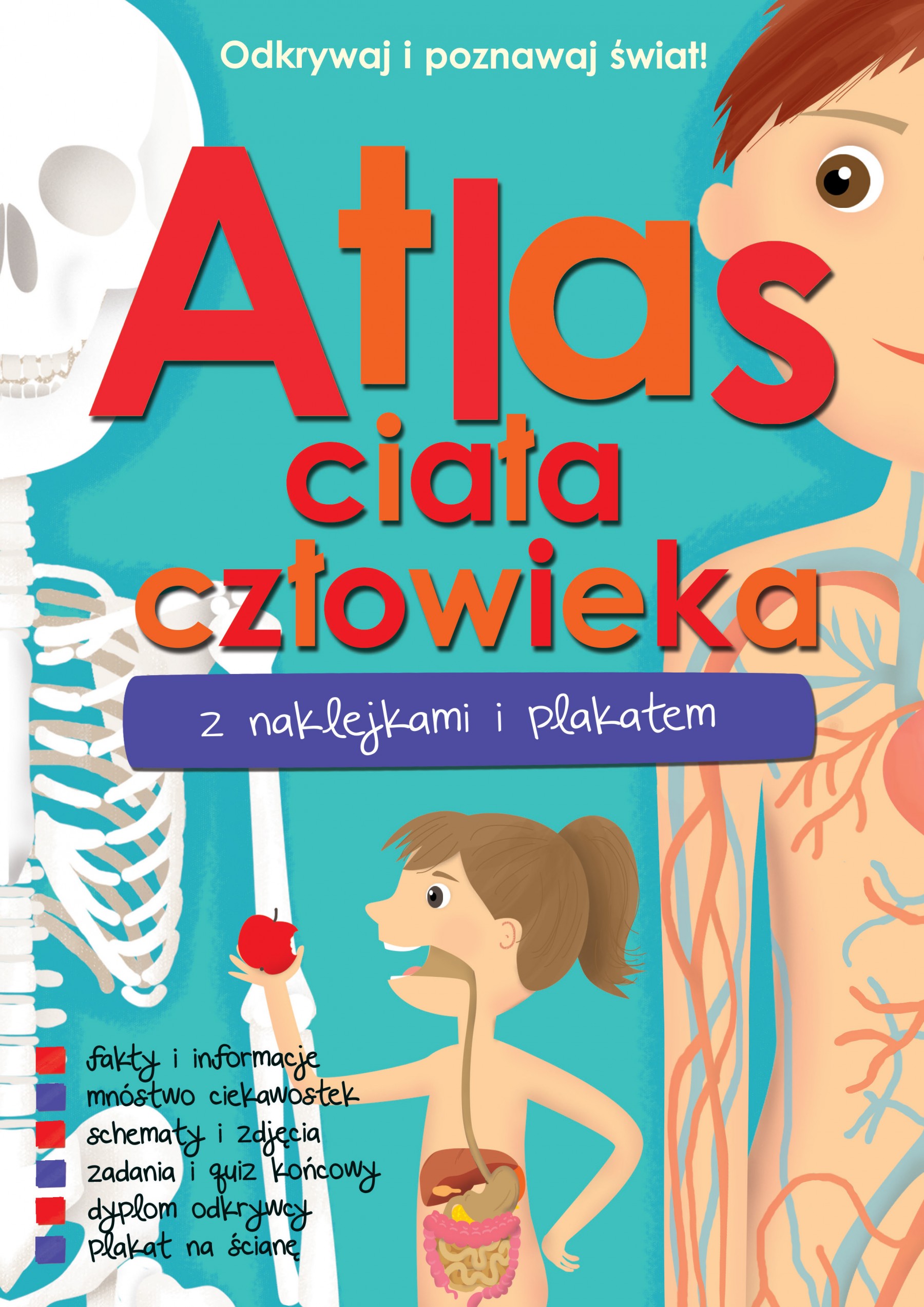 Anatomia Człowieka Dla Dzieci Do Druku Atlas ciała człowieka z naklejkami i plakatem praca zbiorowa | 11,24 zł