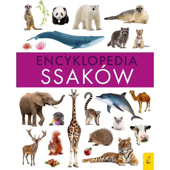 Książka Encyklopedia ssaków Paweł Zalewski