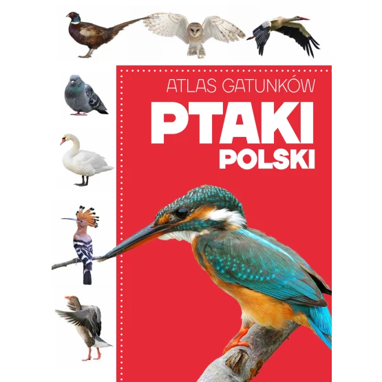 Książka Atlas gatunków. Ptaki Polski praca zbiorowa