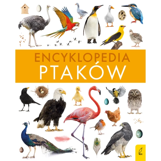 Książka Encyklopedia ptaków Paweł Zalewski