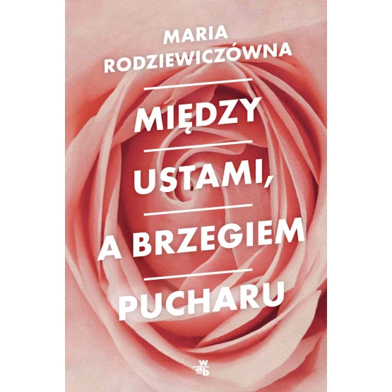 Książka Między ustami, a brzegiem pucharu - ebook Maria Rodziewiczówna