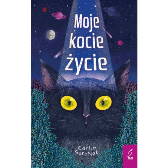 Książka Moje kocie życie - ebook Carly Sorosiak
