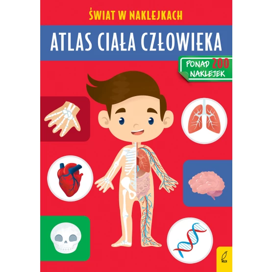 Książka Atlas ciała człowieka. Świat w naklejkach Patrycja Zarawska