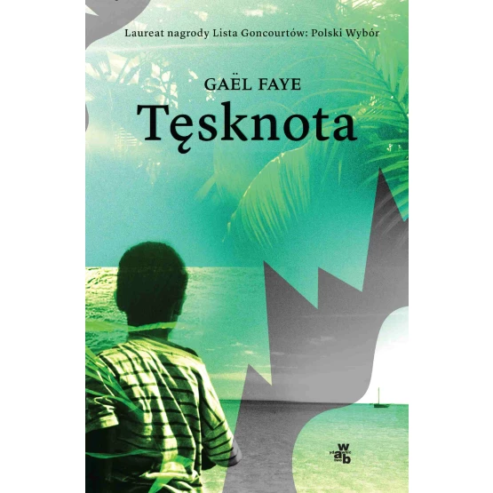 Książka Tęsknota - ebook Gael Faye