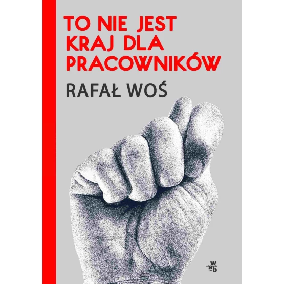 Książka To nie jest kraj dla pracowników - ebook Rafał Woś