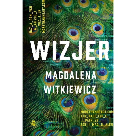 Książka Wizjer - ebook Magdalena Witkiewicz