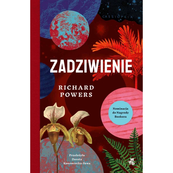 Książka Zadziwienie - ebook Richard Powers