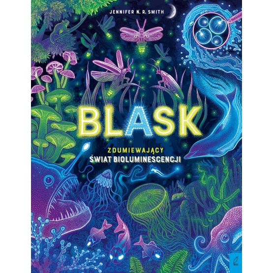 Książka Blask Jennifer N.R. Smith