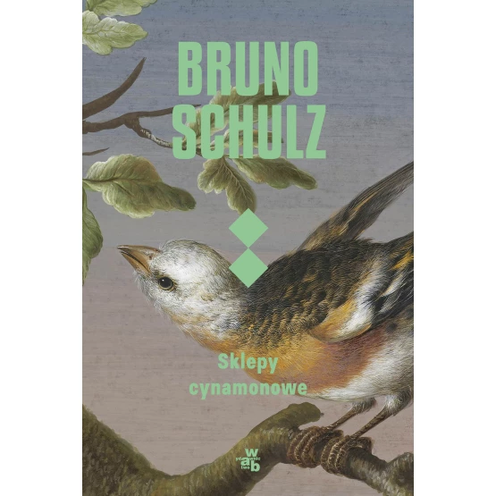 Książka Sklepy cynamonowe Bruno Schultz