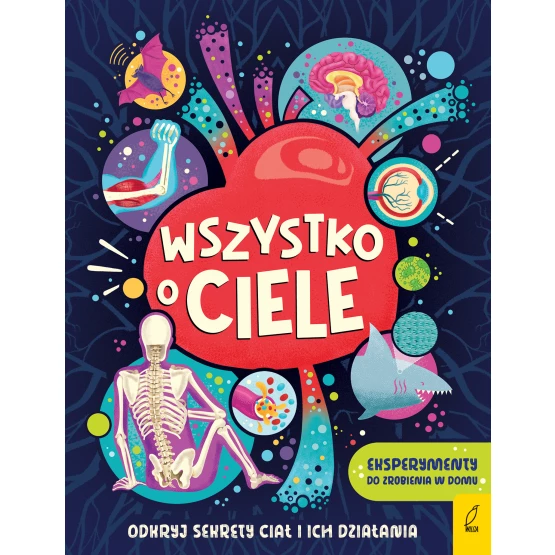 Książka Wszystko o ciele Tim Kennington