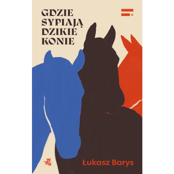Książka Gdzie sypiają dzikie konie Łukasz Barys