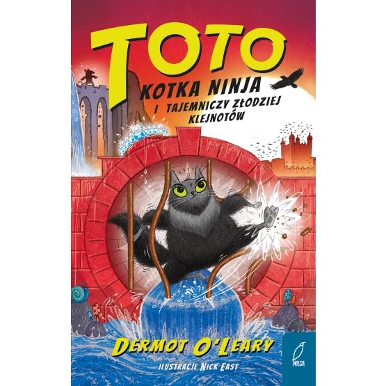 Książka Toto. Kotka ninja i tajemniczy złodziej klejnotów Dermot O'Leary
