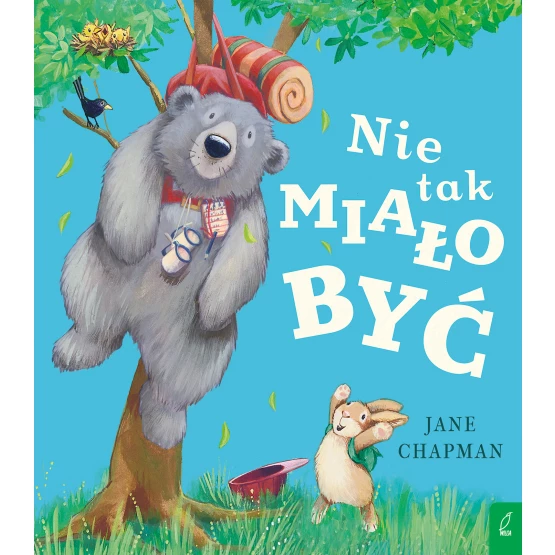 Książka Nie tak miało być Jane Chapman