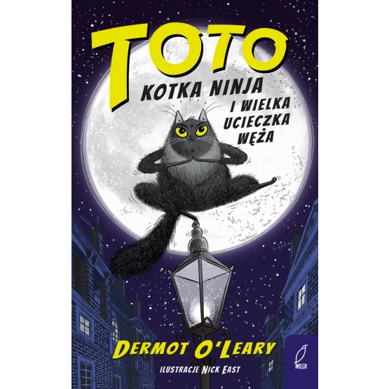 Książka Kotka Ninja i wielka ucieczka węża - ebook Agnieszka Głaz-Fedak  Dermot O'Leary