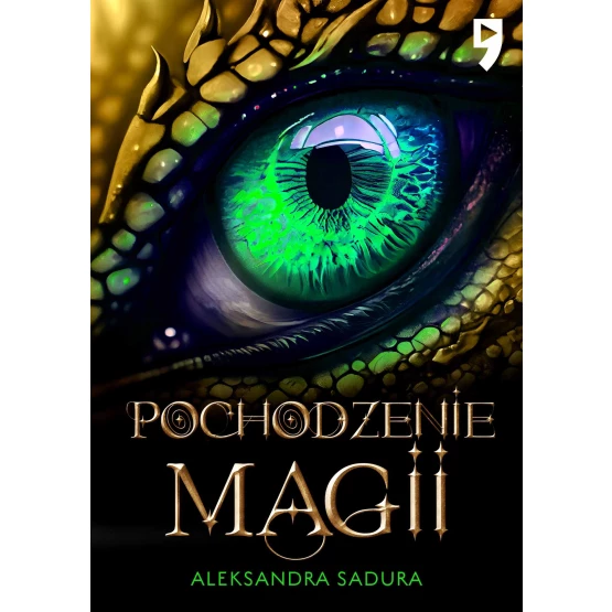 Książka Pochodzenie magii - ebook Aleksandra Sadura