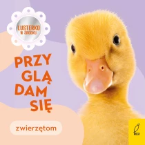 Anna Paszkiewicz Przyglądam się zwierzętom