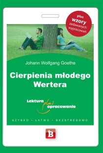 Cierpienia młodego Wertera - ebook