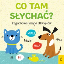 Praca zbiorowa Co tam słychać? Zagadkowa księga dźwięków