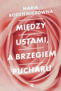 Między ustami, a brzegiem pucharu - ebook