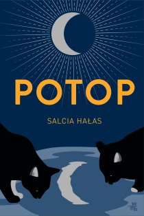 Salcia Hałas Potop - ebook