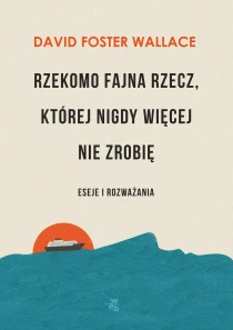 Rzekomo fajna rzecz, której nigdy więcej nie zrobię. Eseje i rozważania - ebook