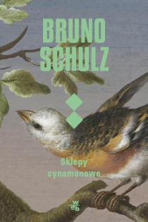 Bruno Schulz Sklepy cynamonowe - ebook
