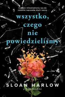 Wszystko, czego nie powiedzieliśmy - ebook