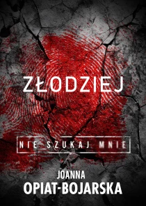 Złodziej. Nie szukaj mnie. Tom 1 - ebook
