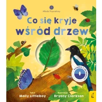 Młodzi przyrodnicy. Co się kryje wśród drzew
