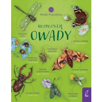Młodzi przyrodnicy. Rozpoznaję owady