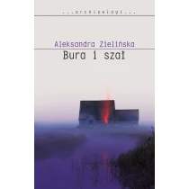 Aleksandra Zielińska Bura i szał - ebook