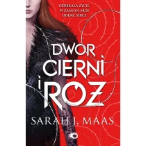 Dwór cierni i róż. Tom 1 - ebook