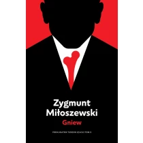 Zygmunt Miłoszewski Gniew - ebook