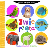 Praca zbiorowa Maluch odkrywa świat. Zwierzęta