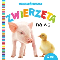 praca zbiorowa Maluszek poznaje. Zwierzęta na wsi