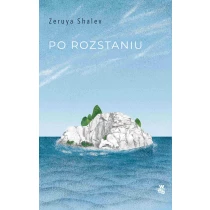 Zeruya Shalev Po rozstaniu - ebook