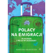 Polacy na emigracji. Dlaczego i po co wyjeżdżamy - ebook
