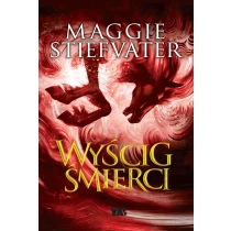 Wyścig śmierci - ebook